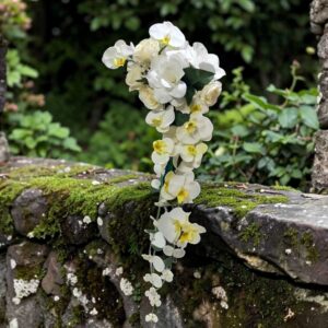 ramo de novia de orquídeas